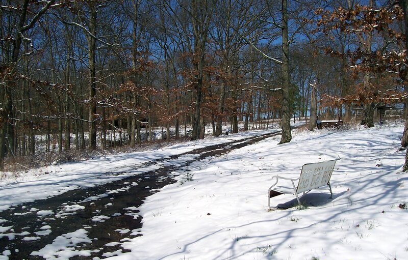 White Bench in Snow