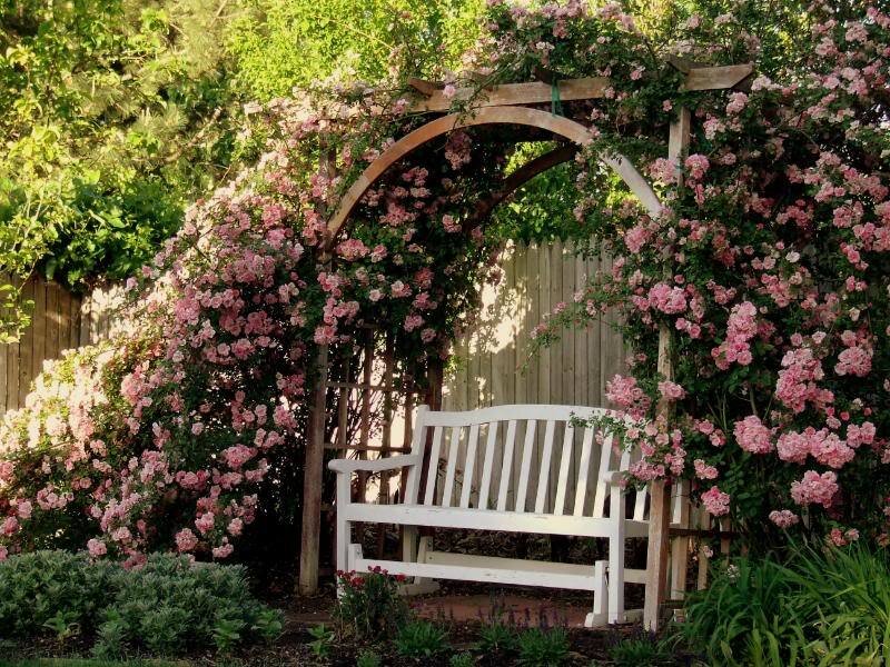 White Bench under Arbor