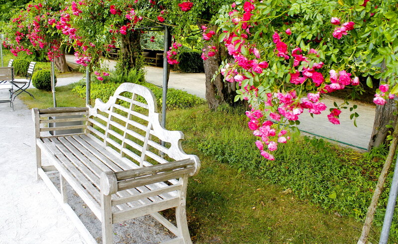 White Bench under Roses