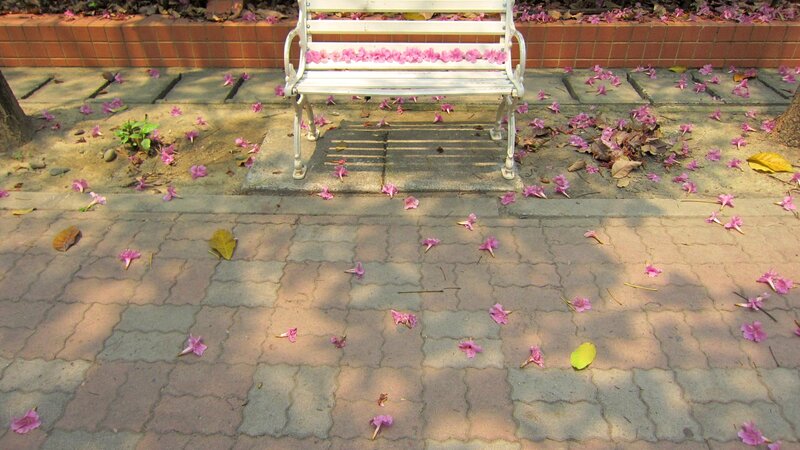 White Bench with Flowers