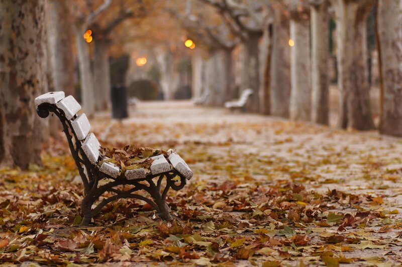 White Bench with Leaves — Brown