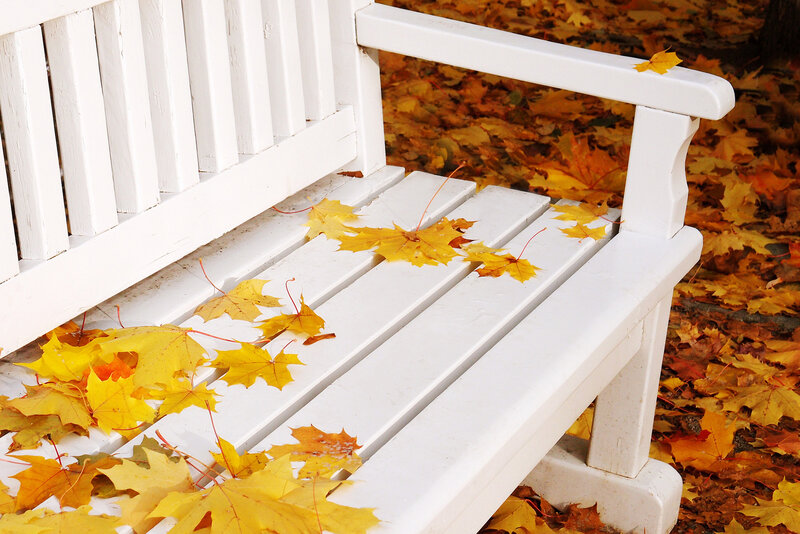 White Bench with Leaves