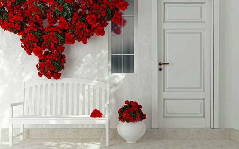 White Bench with Red Flowers