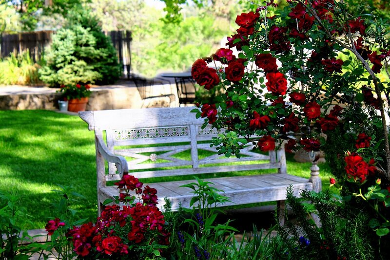 White Bench with Roses