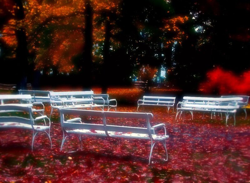 White Benches in Park