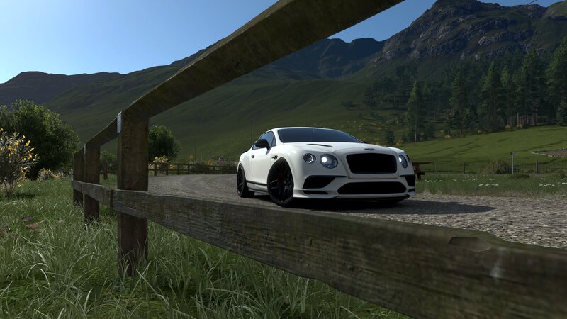 White Bentley Car — Serene, Afternoon
