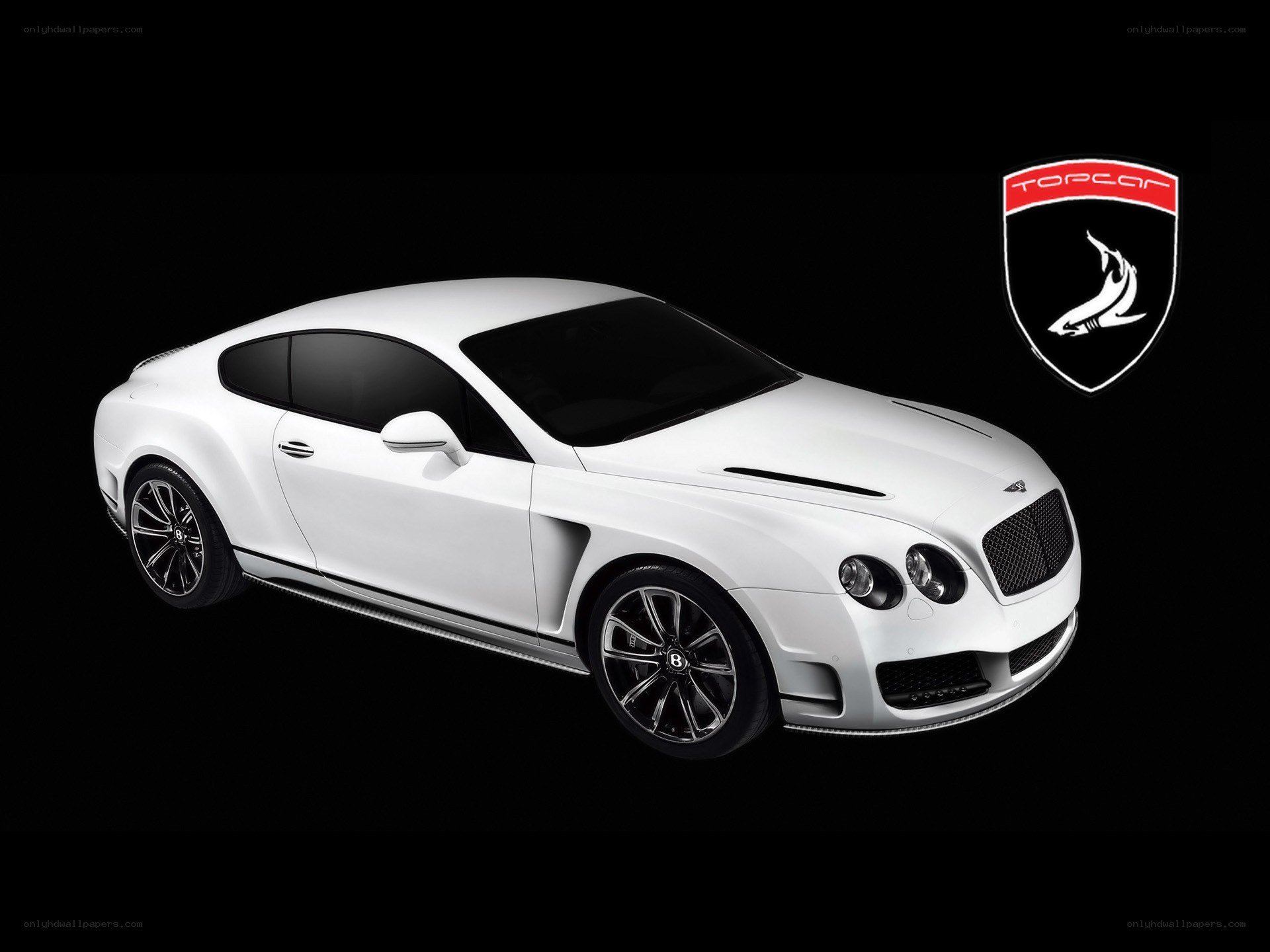 White Bentley Continental GT