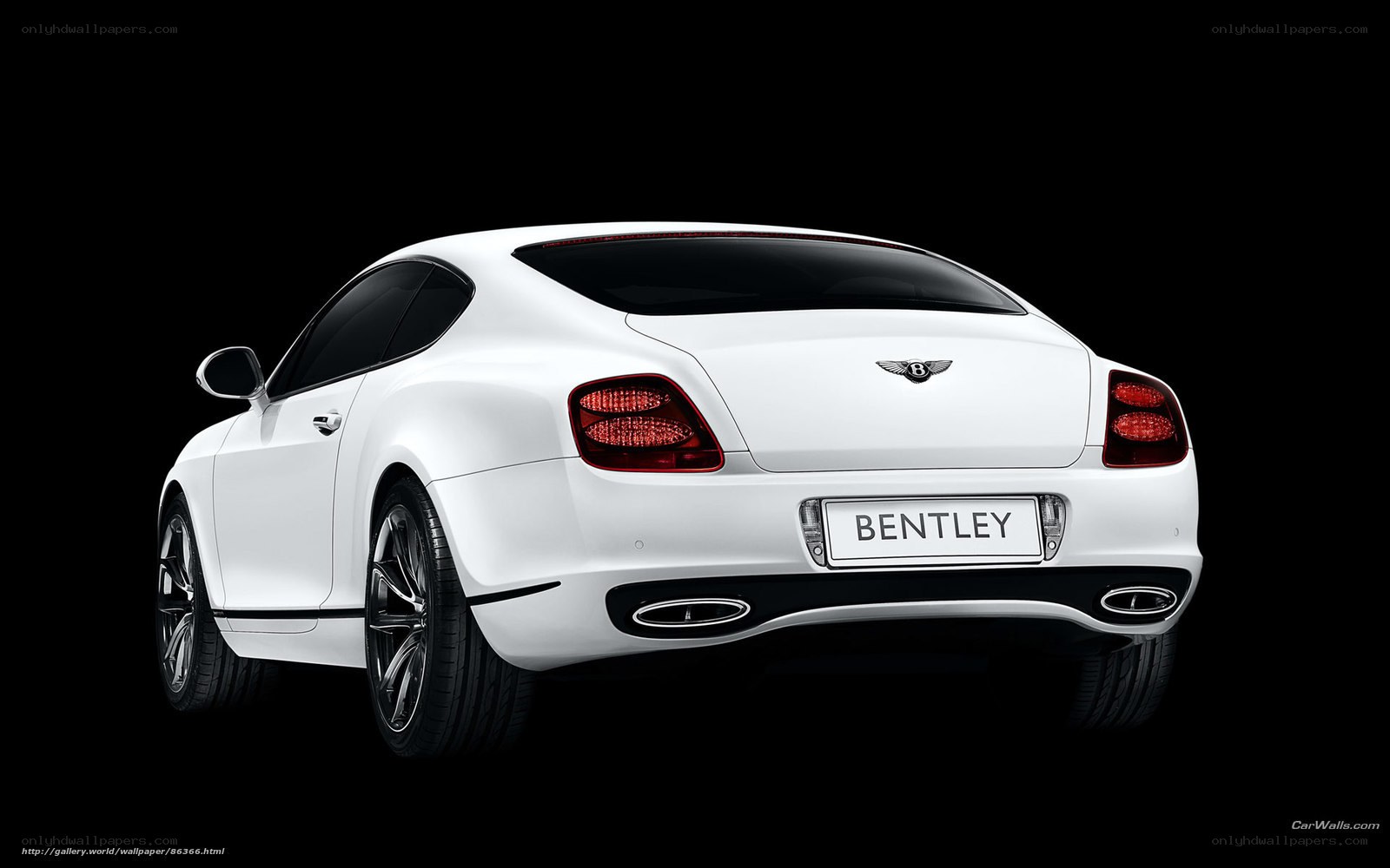 White Bentley Continental GT