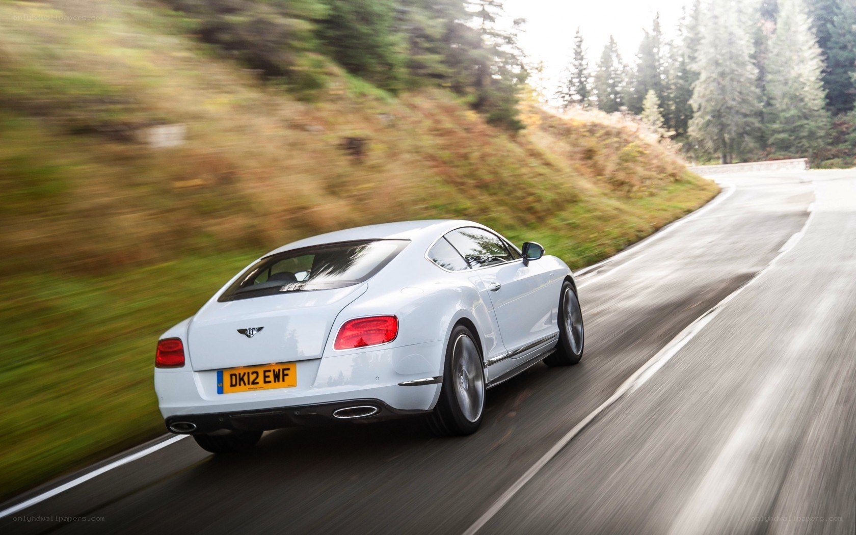 White Bentley driving on a road