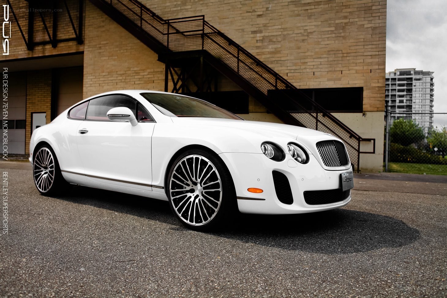 White Bentley Supersports