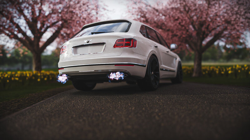 White Bentley Suv — Serene
