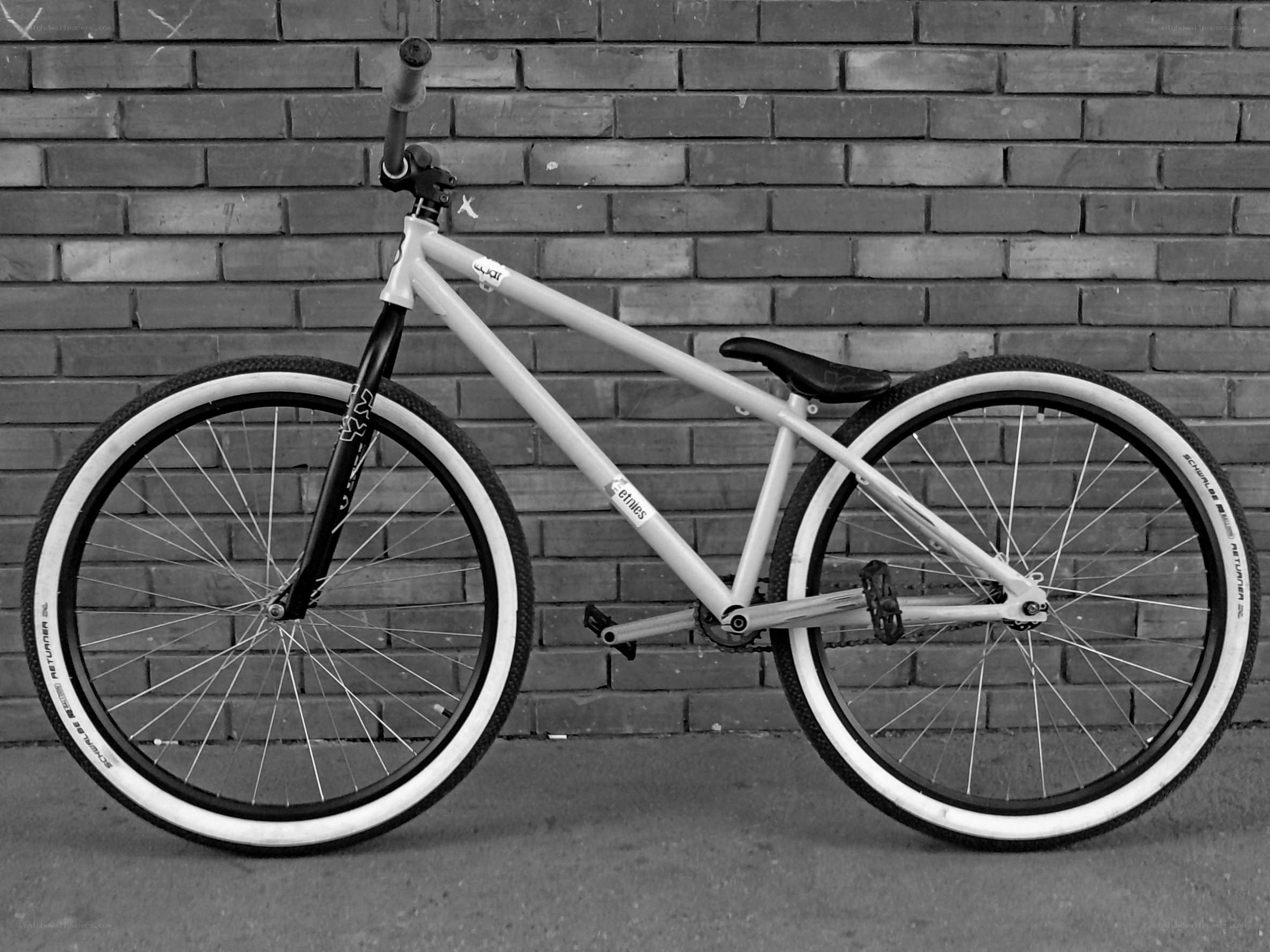 white bicycle against brick wall