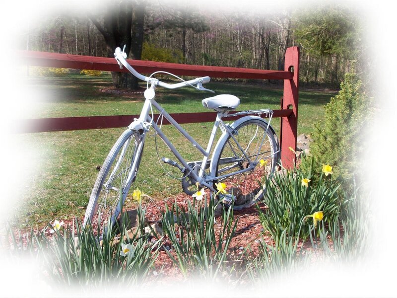 White Bicycle Against Fence
