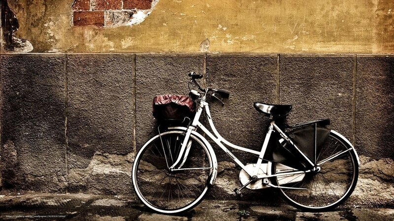 White Bicycle Against Wall — Brown