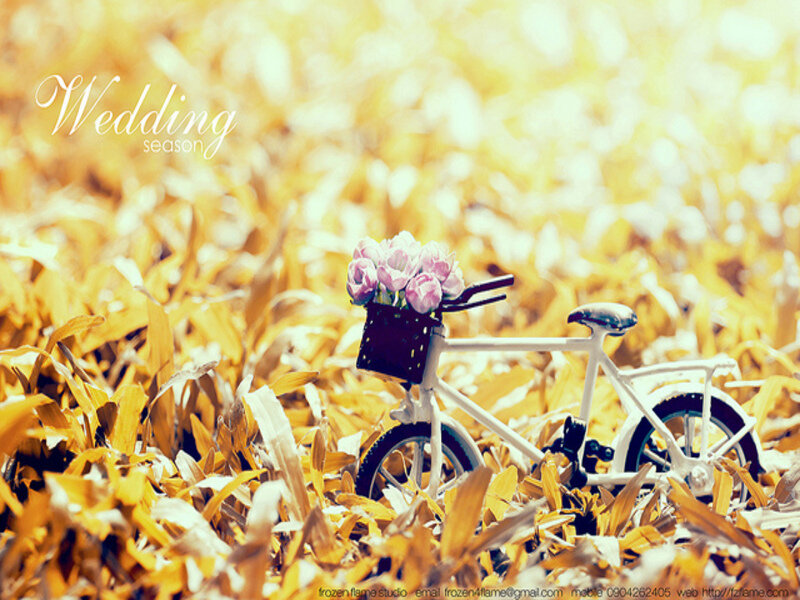 White Bicycle in Field