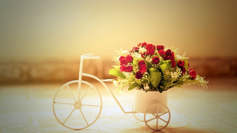 White Bicycle with Flowers — Red