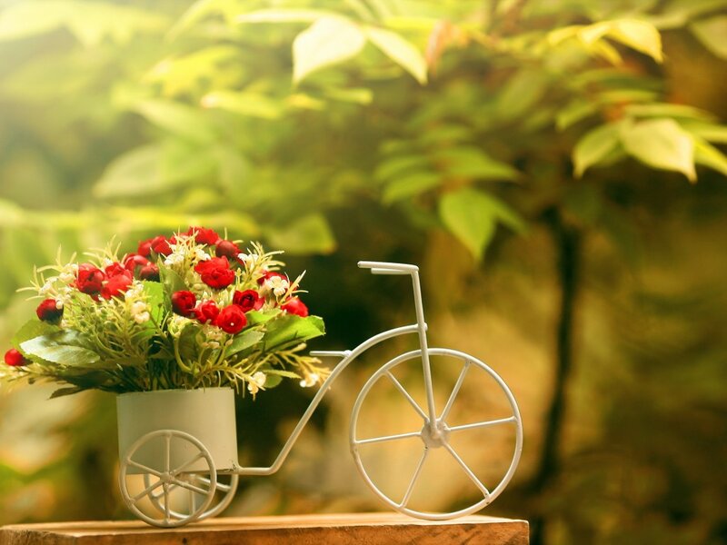 White Bicycle with Flowers