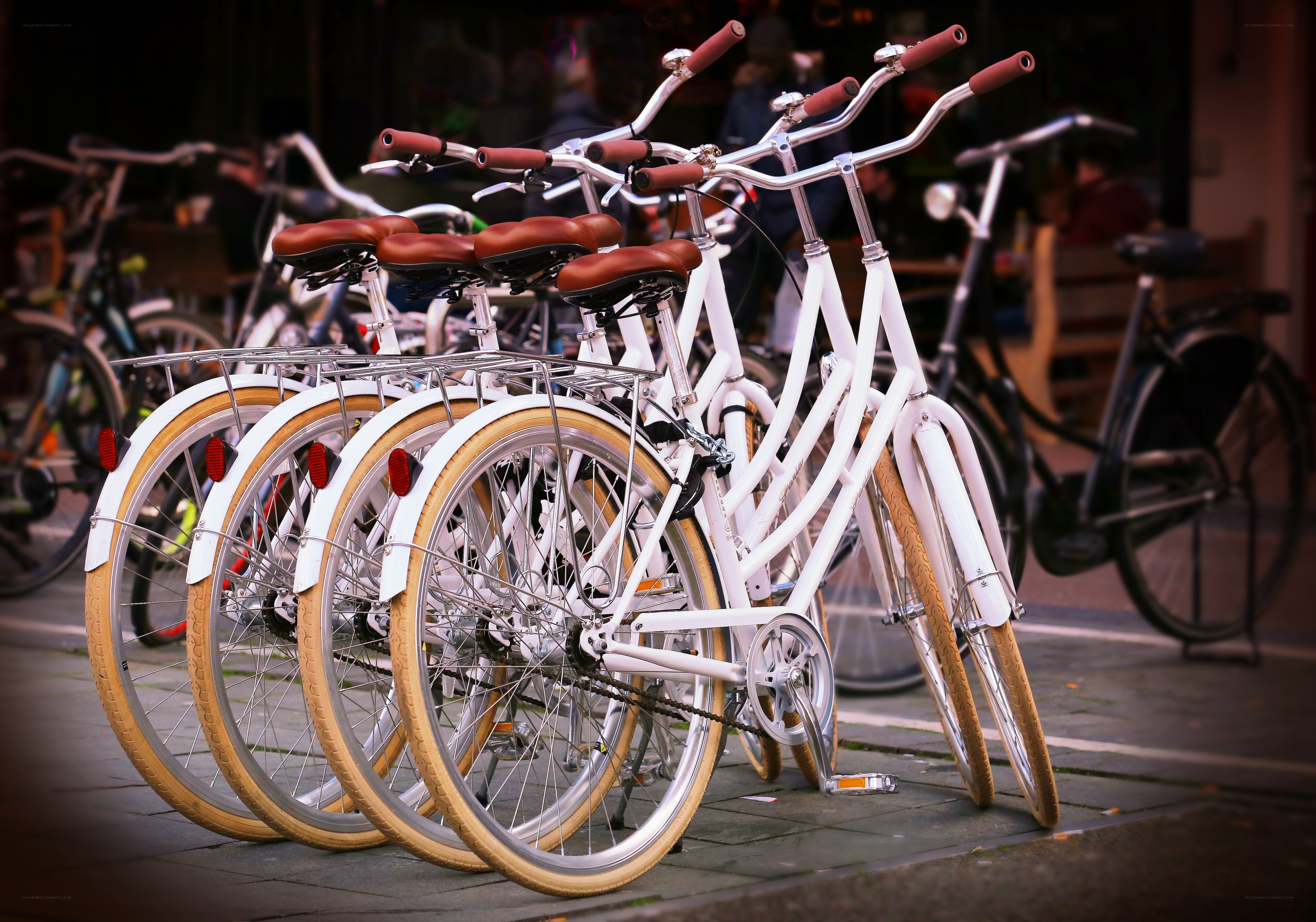 White bicycles in a row