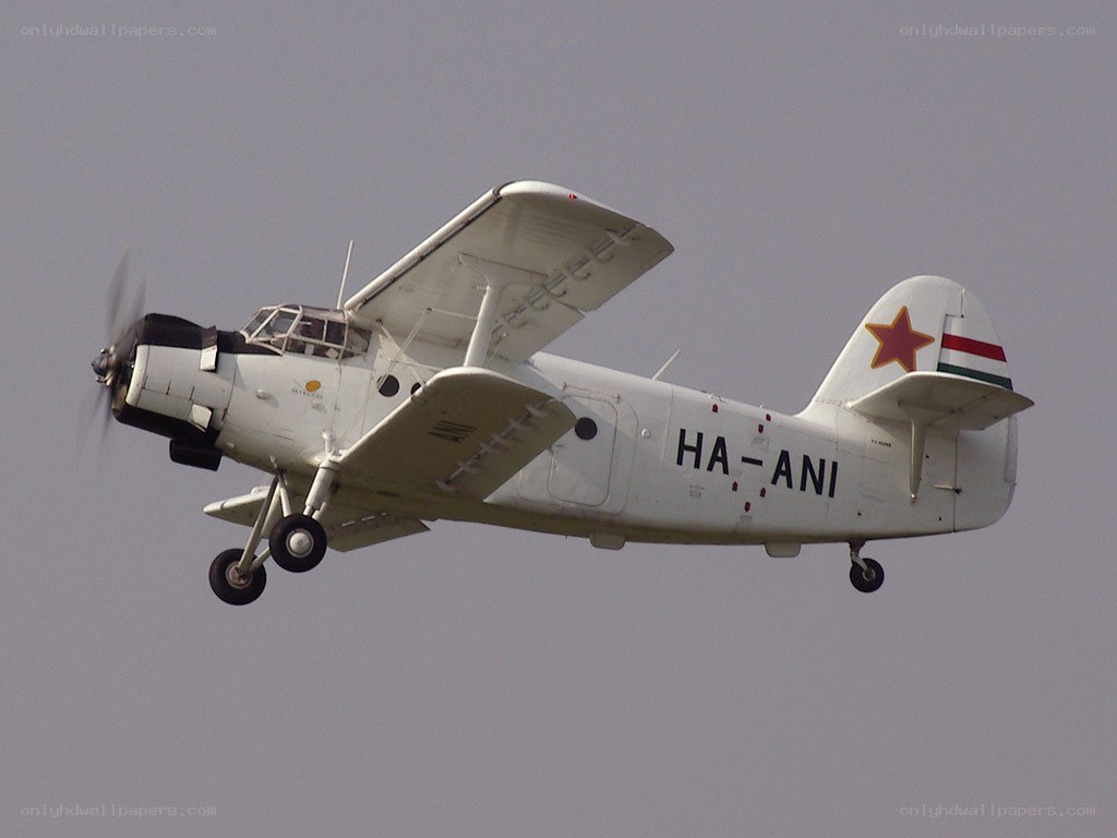 white biplane in flight