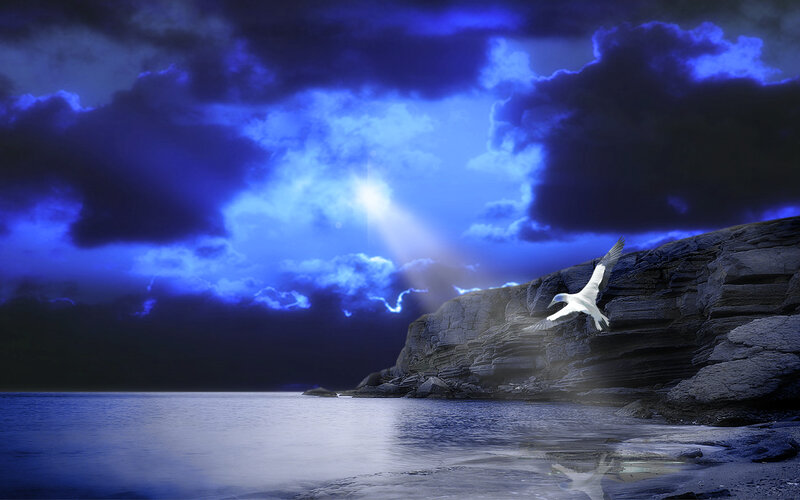 White Bird Flying — Blue, Dramatic, Night