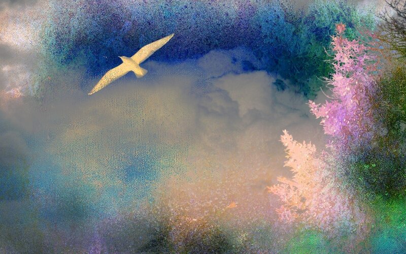 White Bird Flying — Blue, Dreamy