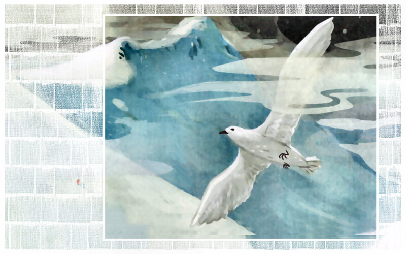 White Bird Flying — Blue, Serene