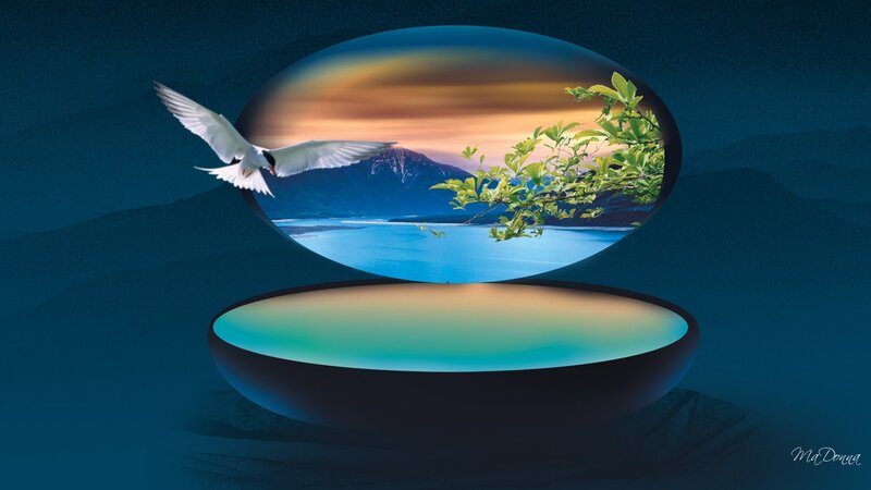 White Bird Flying — Blue
