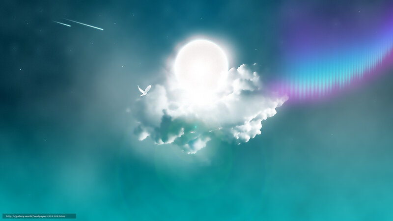 White Bird Flying — Teal