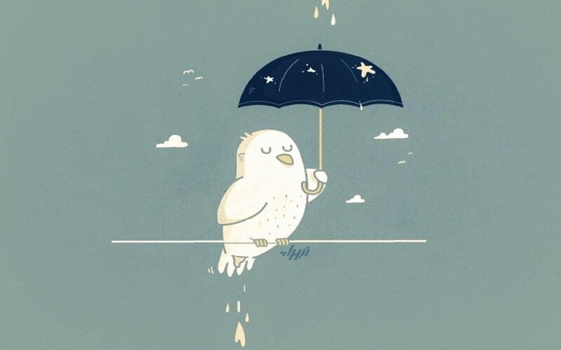 White Bird Holding Umbrella
