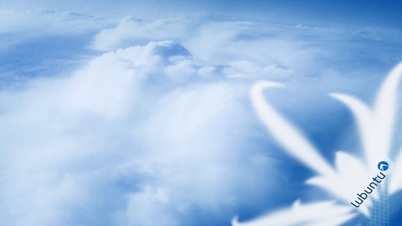 White Bird in Clouds