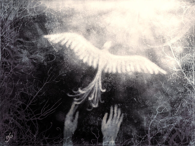 White Bird in Dark Forest