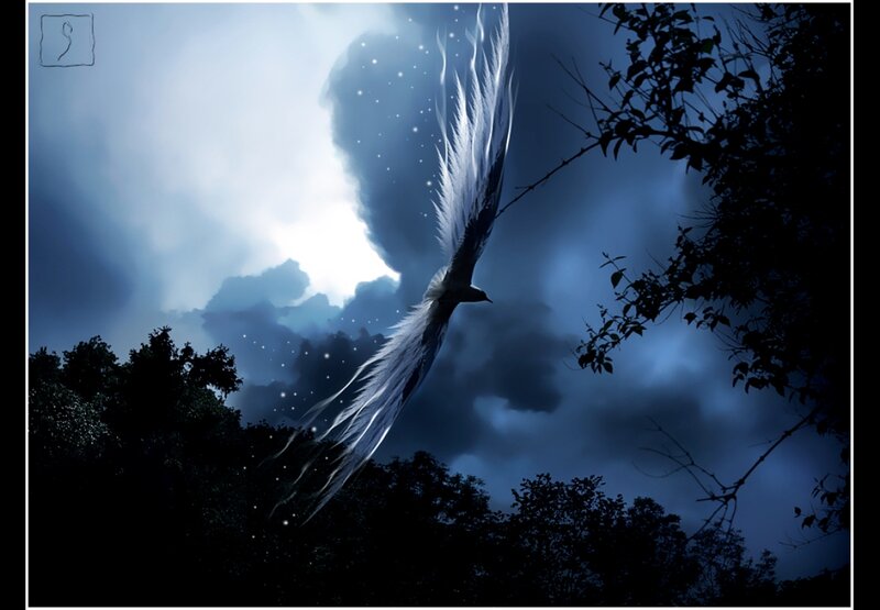 White Bird in Flight — Blue, Dramatic