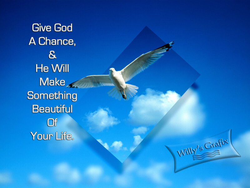 White Bird in Flight — Blue