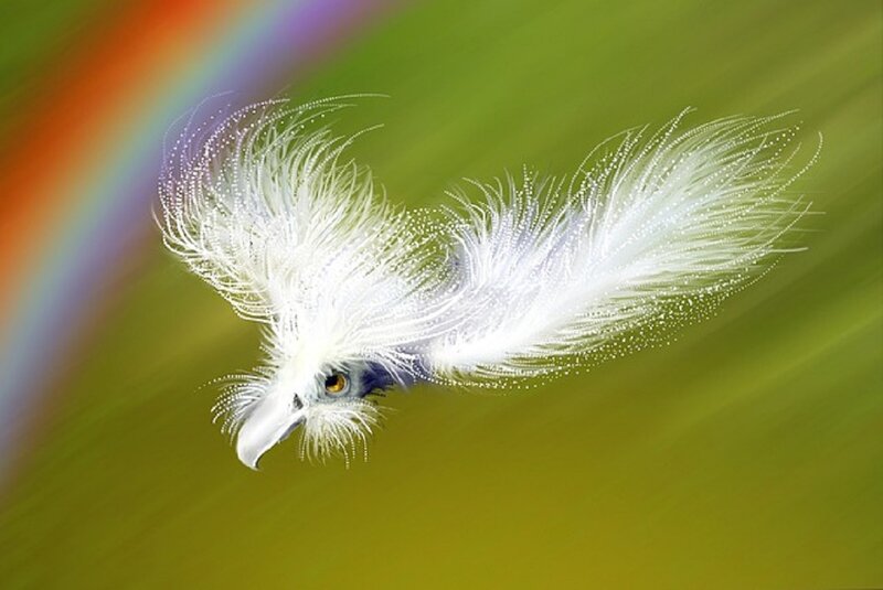 White Bird in Flight — Green, Serene