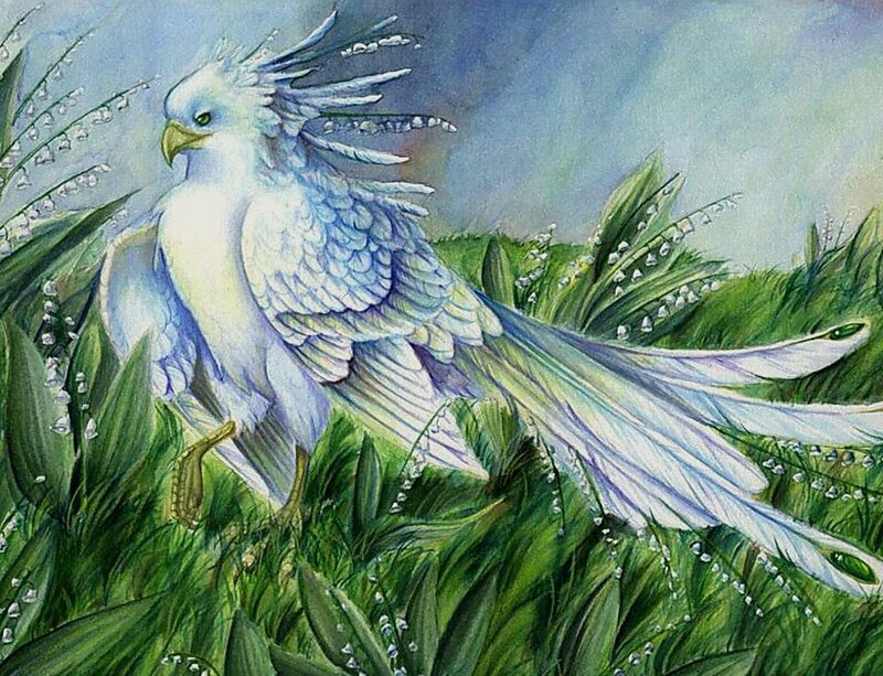 White Bird in Grass