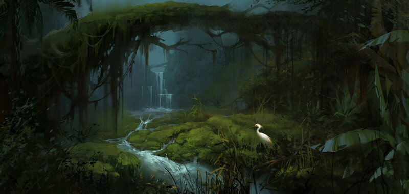 White Bird in Jungle