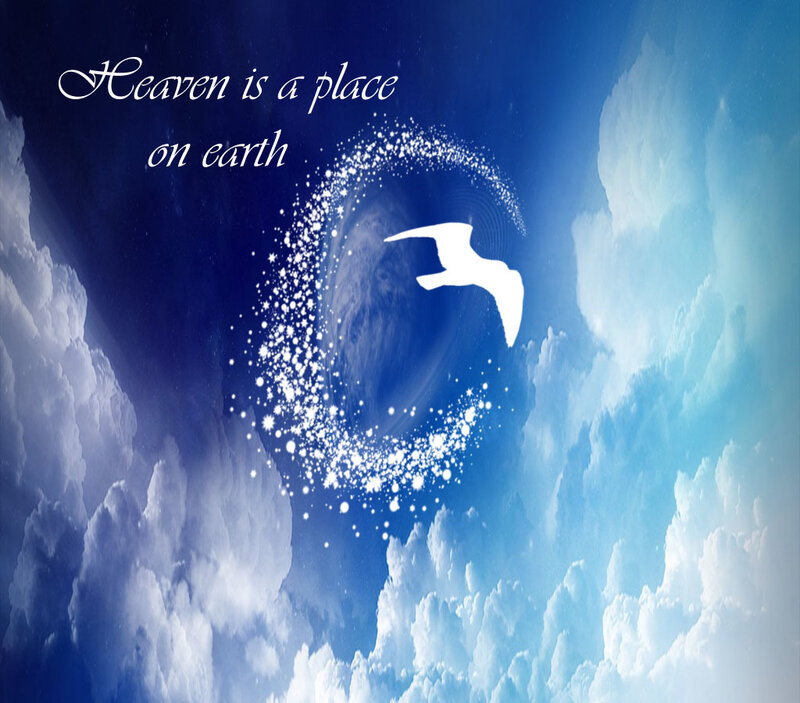 White Bird in Sky