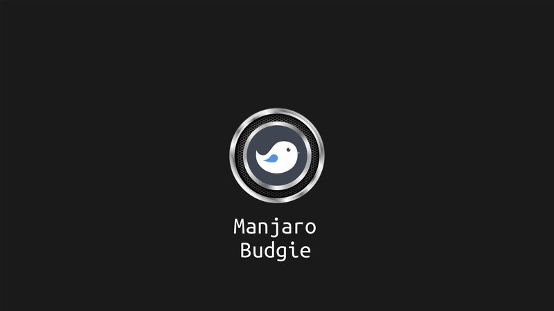 White Bird Logo — Black, Minimalist