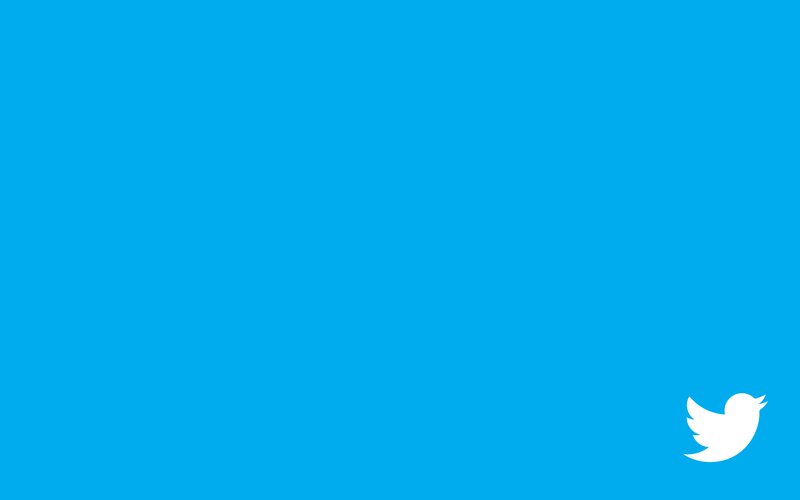 White Bird Logo — Blue