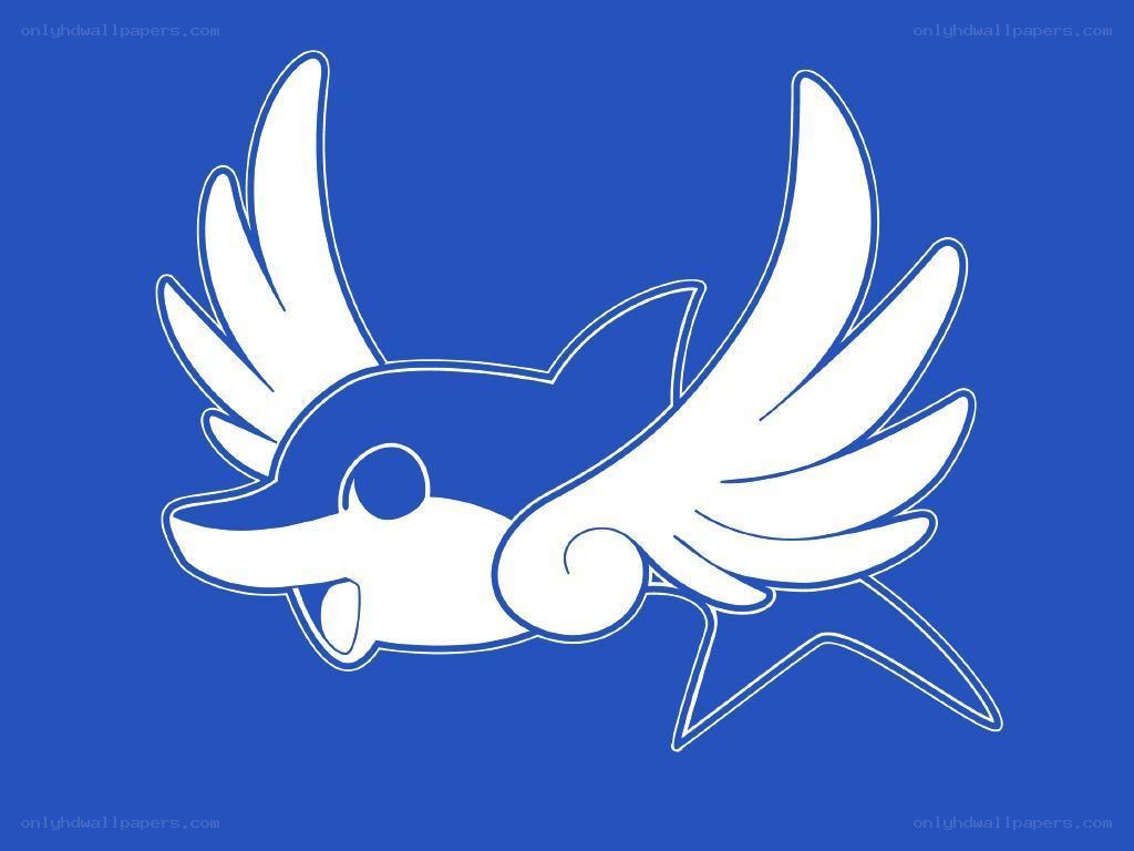 white bird logo on blue