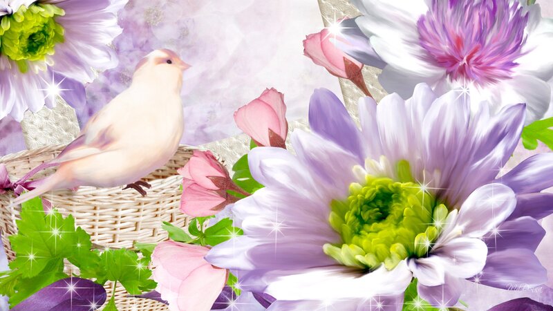 White Bird on Basket