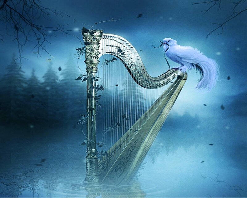 White Bird on Harp