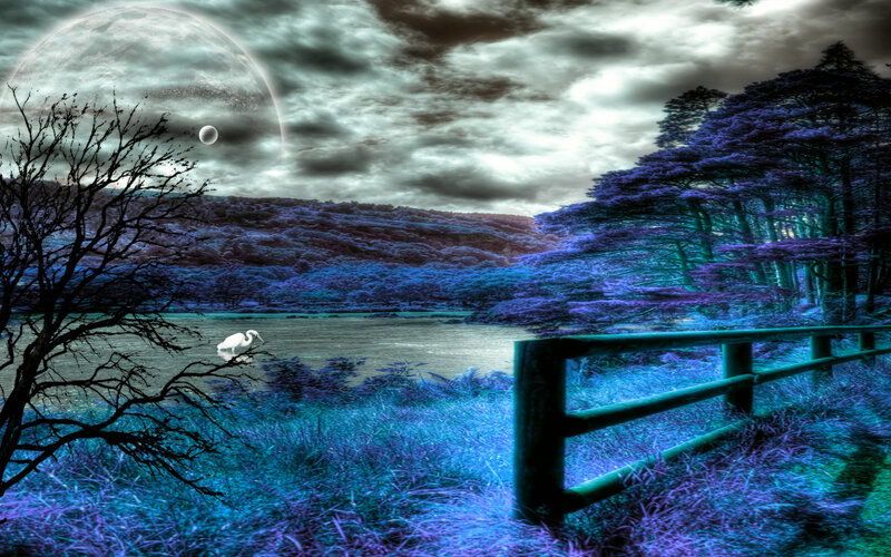 White Bird on Lake — Blue