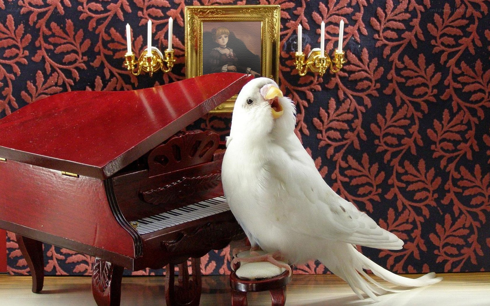 White bird on piano bench