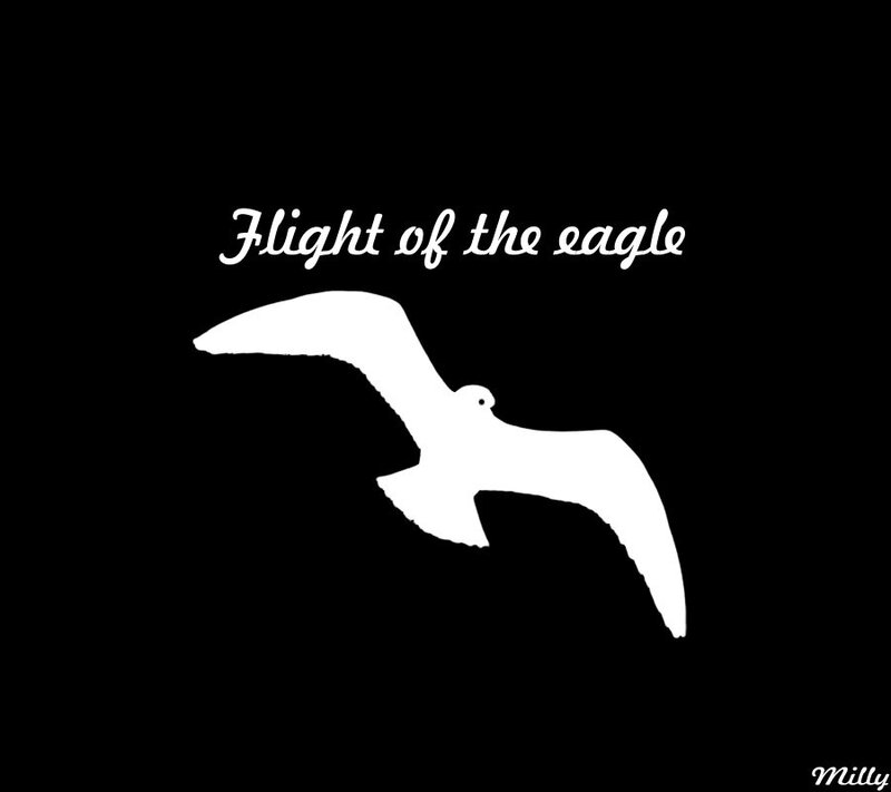 White Bird Silhouette — Black, Serene