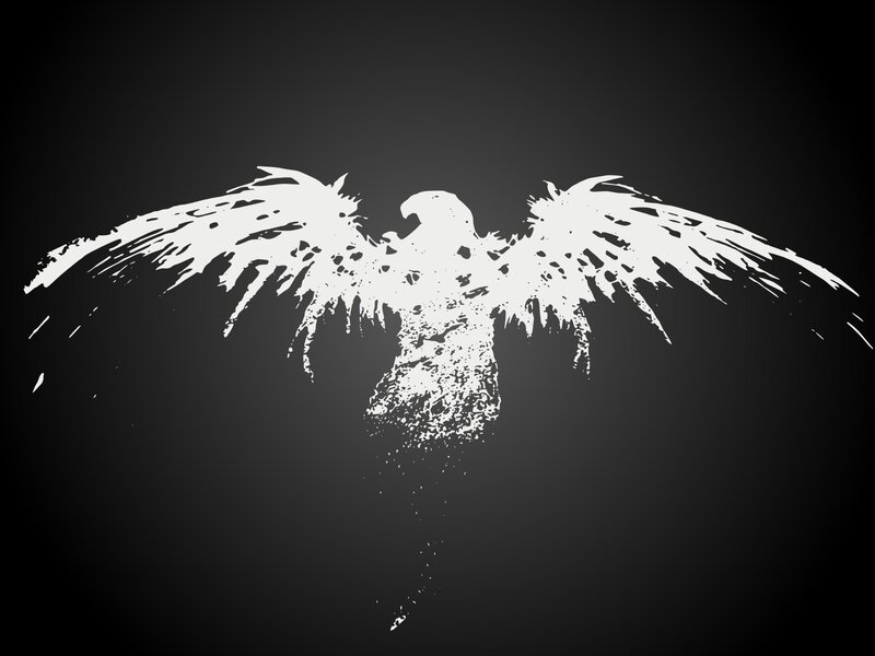 white bird silhouette on black