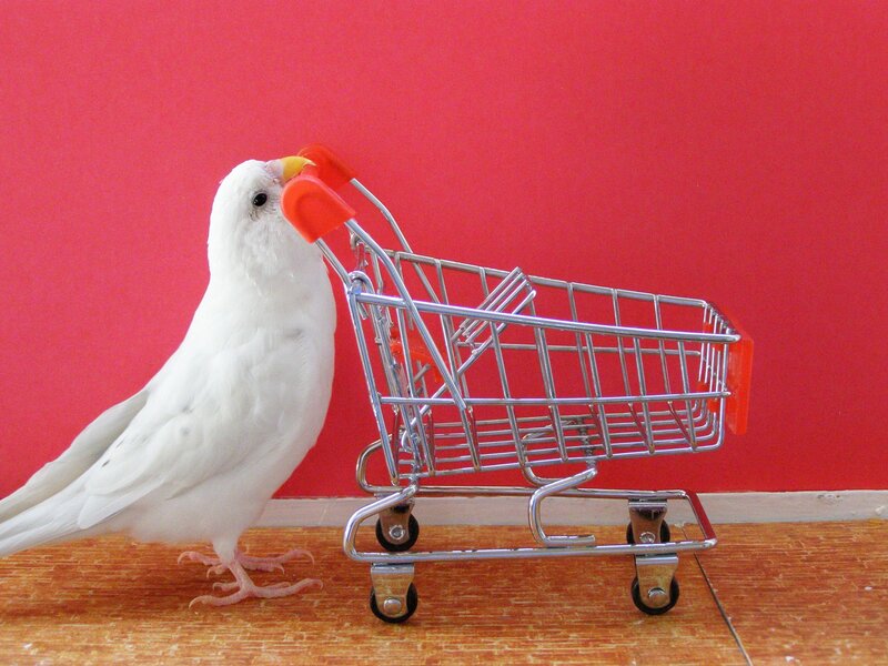 White Bird with Cart