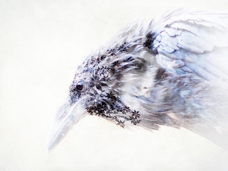 White Bird with Flowers