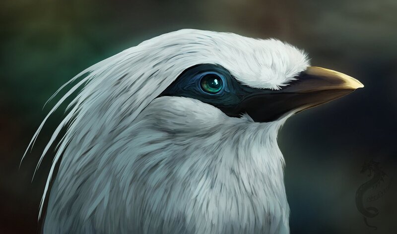white bird with green eye