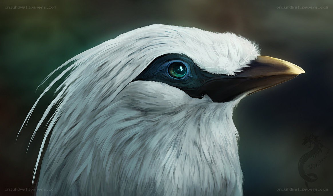 white bird with green eye